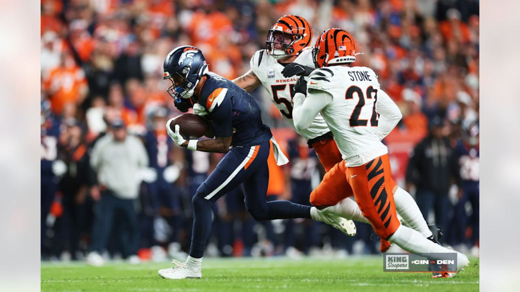 bengals vs denver broncos match player stats